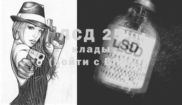 молекула духа Козельск