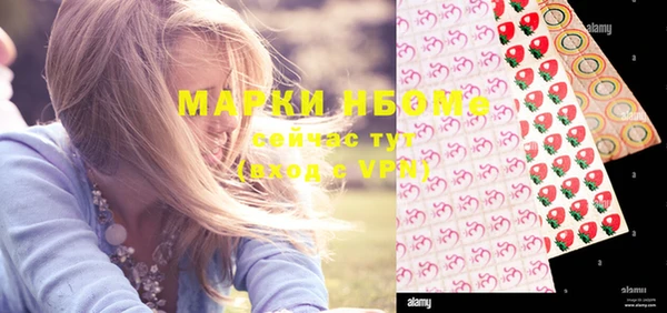 молекула духа Козельск
